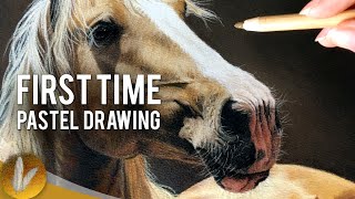How To Draw A Horse With Pastels screenshot 5