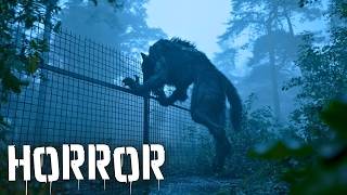 ⁣🔴 Evil has awakened and now demands new victims😱 Full horror movie in English for FREE