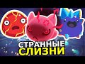 ВСЕ СЛАЙМЫ Slime Rancher 2 Способности слабости места обитания слизней ВСЕ СЛАЙМЫ Slime Rancher 2 Способности слабости места обитания слизней