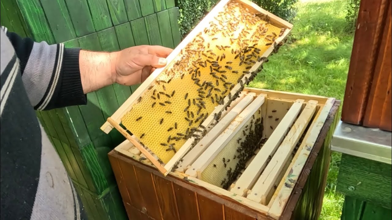 298. Rotovanie Éčkových nádstavkov