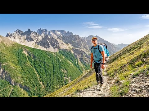 Video: Ce copaci cresc în Alpi?