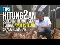 Menghitung Berapakah Keuntungan Ternak Ayam Petelur Rumahan 100 ekor