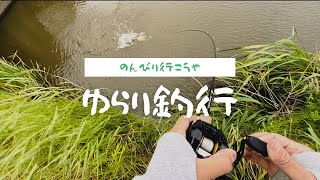 【霞ヶ浦?陸っぱりバス釣り】ゆらり釣行?