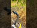 من سطيف إلى بجاية بدرجة