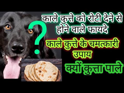 वीडियो: लकड़ी से बने लैंप (52 फोटो): अर्ध-प्राचीन लकड़ी के मॉडल और रचनात्मक जापानी गोल आकार, कुत्ते और घर के आकार में नक्काशीदार