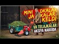 MINI JADKALAR KELDI  VA TELAJKALAR OPTIM NARXLARDA, BEDA OʻRADIGAN KASILAKLAR NARXLARI,YOVOYI OʻTLAR