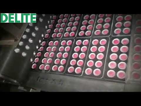 High speed Alu bister packing machine - video from Delite Engineers