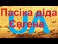 Ювілей 3 роки. 100тис переглядів одного відео. 100$ заробітку. 4000 підписників. Пасіка діда Євгена.