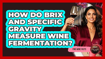 How Do Brix And Specific Gravity Measure Wine Fermentation? - Fine Wine Facts