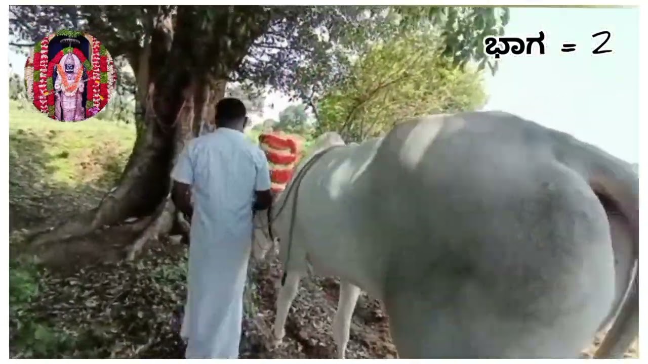 ಗುಲಗಂಜನಹಳ್ಳಿ ಗ್ರಾಮದಲ್ಲಿ ಮುನೇಶ್ವರ ಸ್ವಾಮಿಯವರ ದೇವಾಲಯದ ನಿರ್ಮಾಣಕ್ಕೆ ಜಾಗ ತೋರಿಸಿದ ಮಂಚನಬೆಲೆ ಬಸವಣ್ಣ✨️🙏🚩••••••