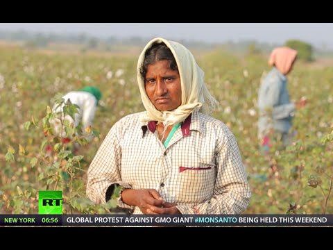 Video: Ero GMO: N Ja Siirtogeenisen Organismin Välillä