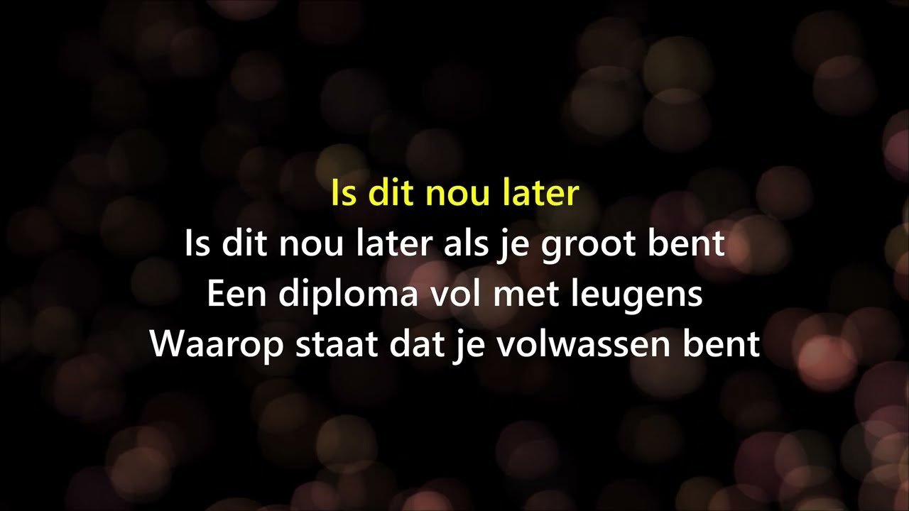 KARAOKE 🎤 Stef Bos - Is Dit Nou Later