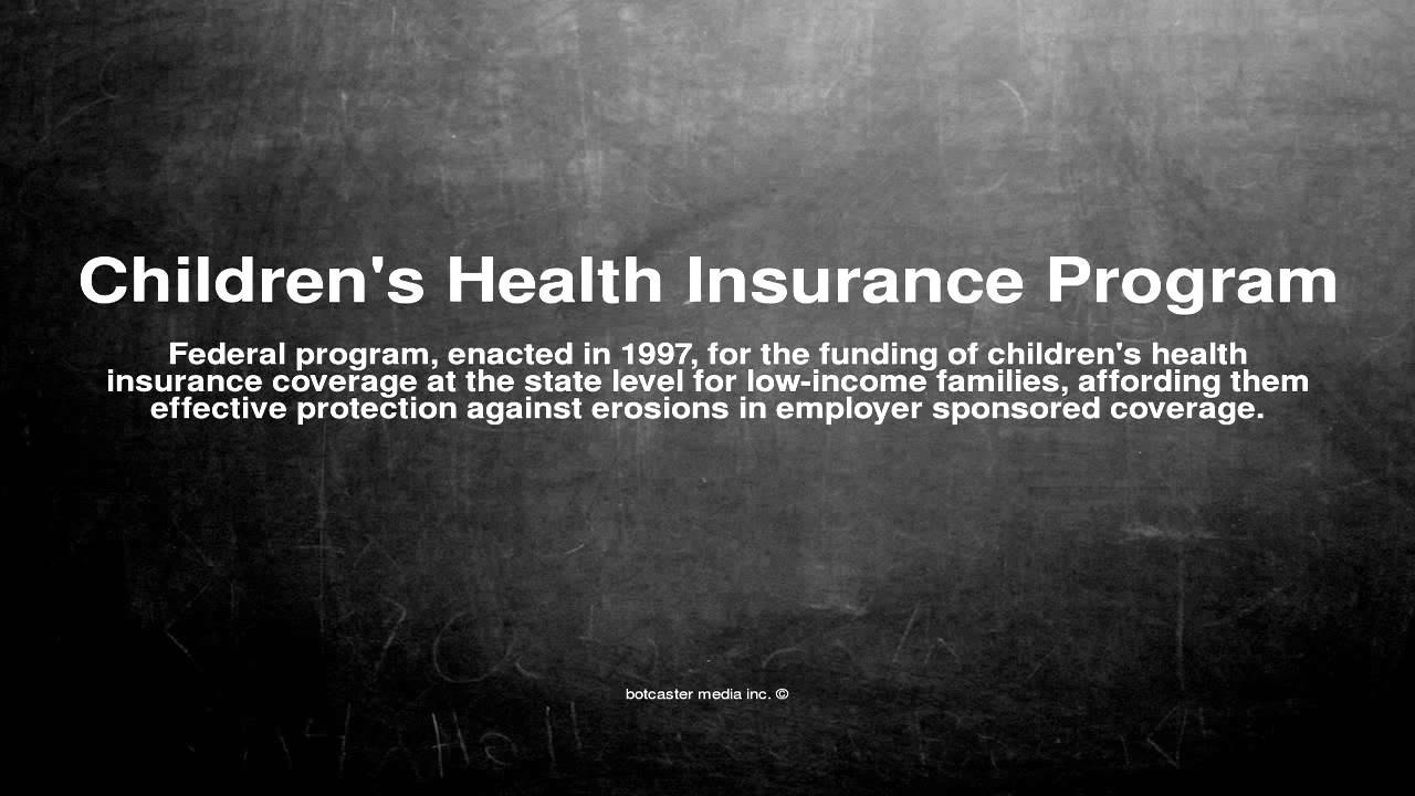 Medical vocabulary What does Children's Health Insurance Program mean