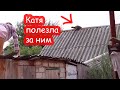 VLOG Не могли достать енота с крыши