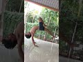 Hollow back handstand #breakdance #bboy #gymnastics #yogi #yoga #calisthenics #shortvideo #shorts