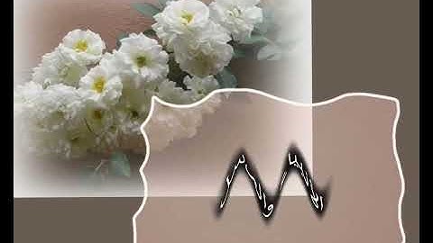 #اكسبلور #اذكر #اذكار #معلومات #أدعية #اذكار #صلاة #فقه #سنة #اكسبلور #عبادة #دين 