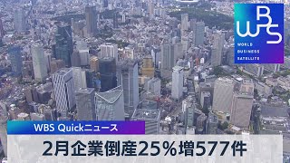 ２月企業倒産 25％増 577件【WBS】（2023年3月8日）