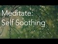 Daily calm  10 minute mindfulness meditation  self soothing