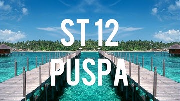 ST 12 - PUSPA LYRIC VIDEO