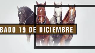 Vidéo de la course PMU TODOPODEROSO H