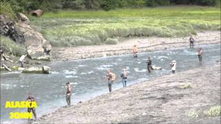 BIRD CREEK ALASKA - Salmon Fishing