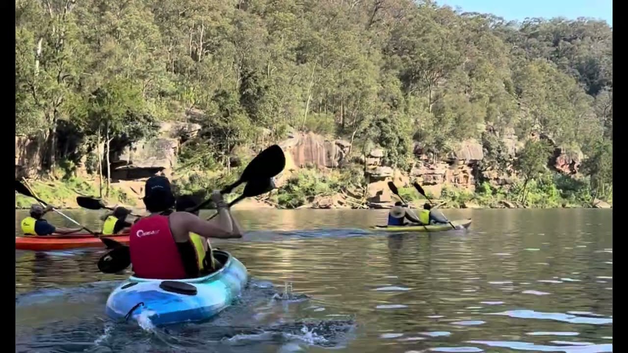 Kayaking to Glenbrook Creek |  Hidden Paradise on the Nepean River