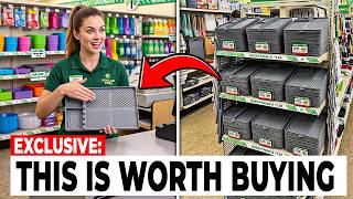 30 DOLLAR TREE Finds You NEED to Haul NOW! Never Seen Before Arrivals! August 2026
