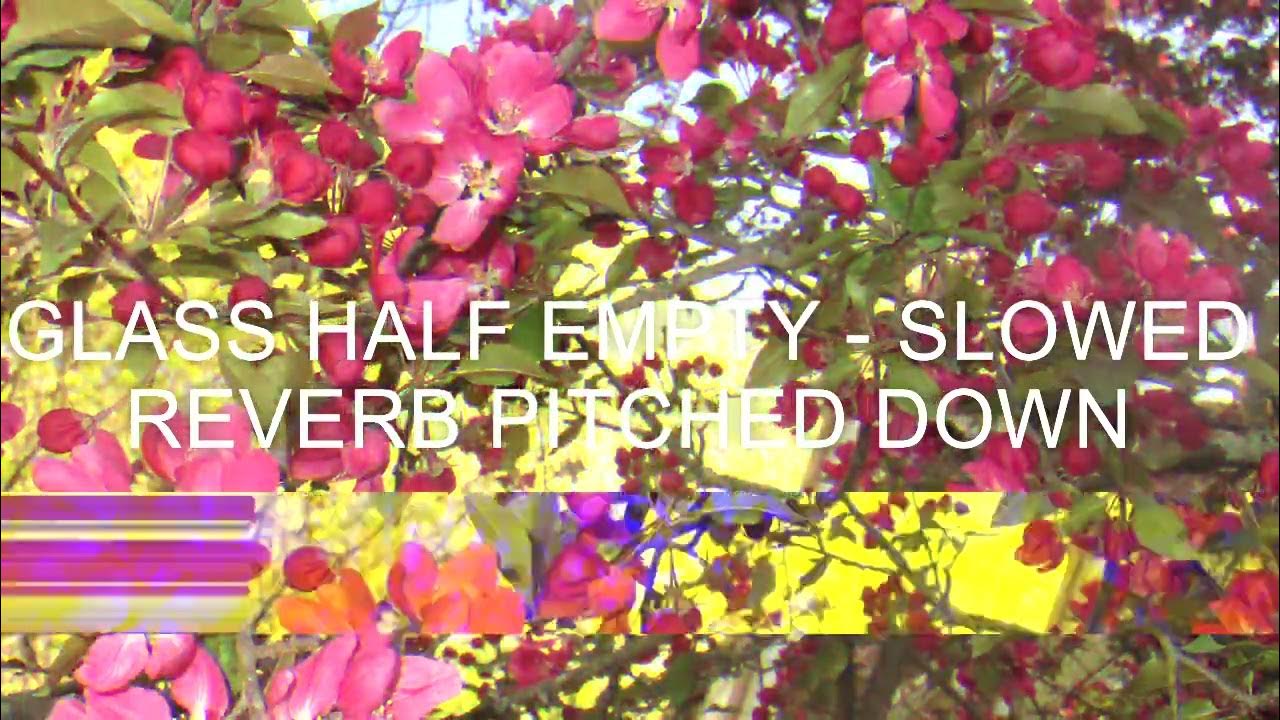 GLASS HALF EMPTY HAIL THE SUN [slowed, reverb, pitched down] YouTube