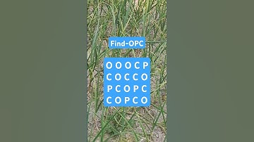 Observation Visual Test: 5 Seconds ForYou To Spot . Try Your Skills! #search #puzzle #shorts