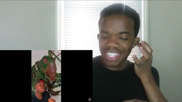 Don’t Watch This if You’re Afraid of Bugs @mndiaye_97  (REACTON)