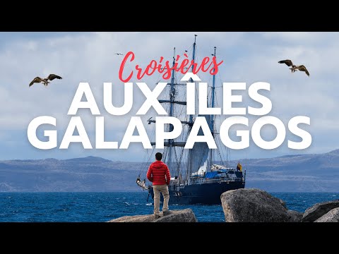 Croisière Galapagos : Découvertes maritimes et terrestres #galapagos
