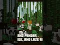 Minecraft ghost