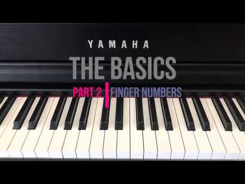 Simply Music - The Basics Part  2