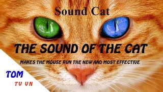 The sound of the cat makes the mouse run the new and most effective