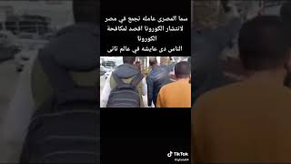سما المصري عمل تجمعات فى مصر  