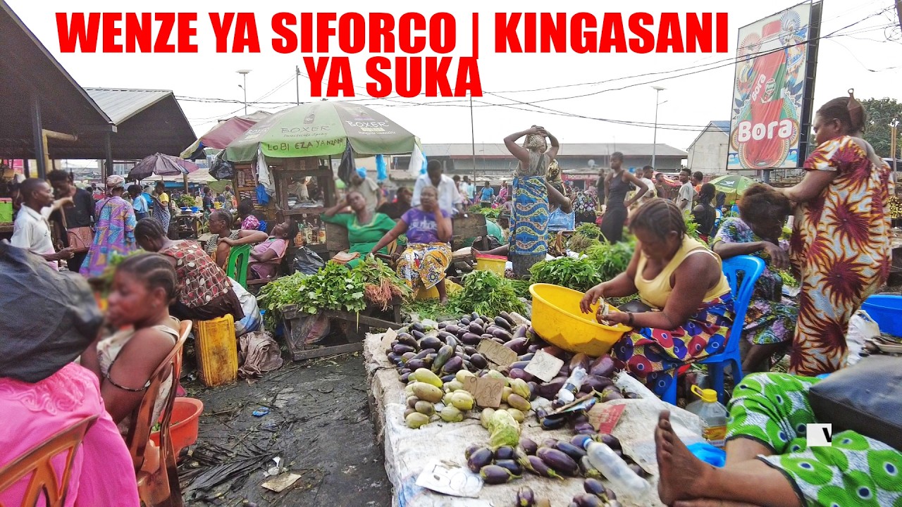 No Comment: WENZE YA SIFORCO | KINGASANI YA SUKA | Kinshasa - Rdc
