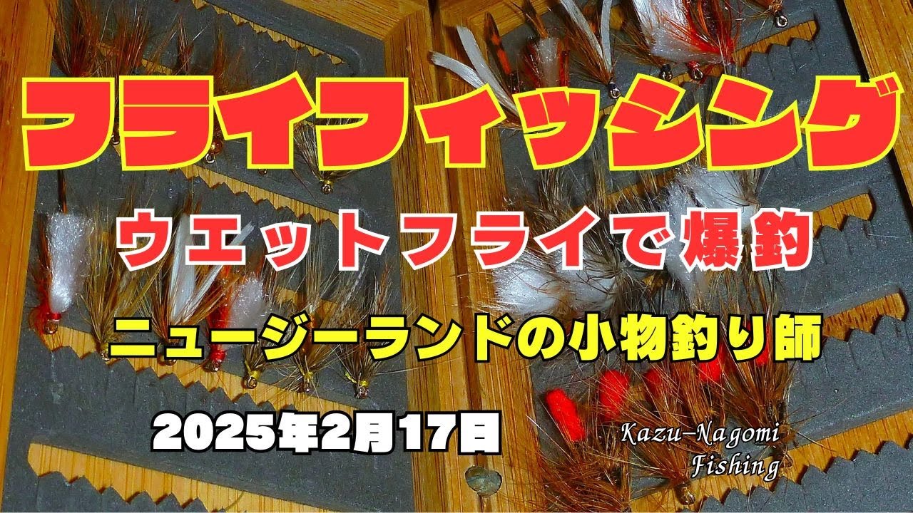 #フライフィッシング 2025年2月17日 #ウエットフライ で爆釣,ツ抜けなるか？#ニュージーランド 釣行記