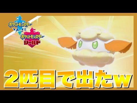 ２匹目で色違いモンメンが出てしまう男 ポケモン剣盾 Youtube