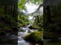 Gentle Soundscape for Peaceful Sleep #short #relaxingsounds #deepsleep #asmrsleep #relaxingasmr