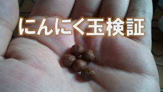 【にんにく卵黄】にんにく玉ゴールド実際に購入して検証