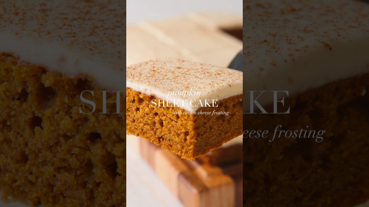 Moist and delicious pumpkin sheet cake! 