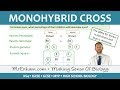 Genetic Diagrams and Monohybrid Crosses Quiz