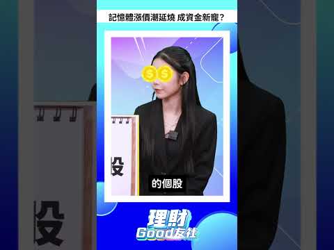 記憶體漲價潮延燒 成資金新寵？