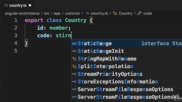 20 14 Angular Project   Checkout Form   Populate Countries and States   Create Classes