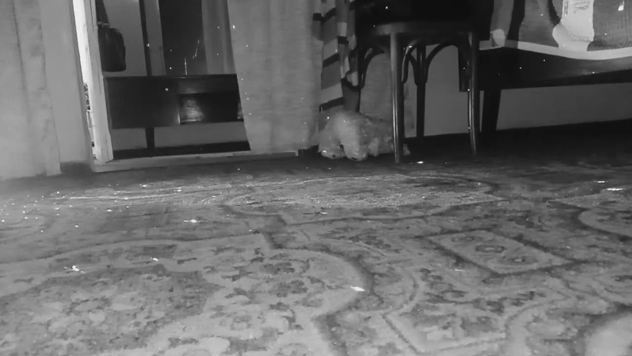 Записи с камер вторая часть