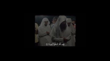﴿يَسْتَخْفُونَ مِنَ النَّاسِ وَلَا يَسْتَخْفُونَ مِنَ اللَّهِ﴾ سورة النساء ـ احمد حمادي 🤍.