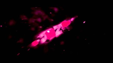 Jozo Intro ▪ DreamArts [Insp. Braz] [1st intro Braz style] [Ops??]