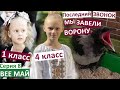 Серия 8 / Настя закончила младшую школу / завели себе ворону / подарки для Коли / последний звонок