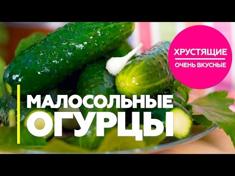 Малосольные огурцы / рецепт быстрых, хрустящих, очень вкусных малосольных огурцов [Patee. Рецепты]