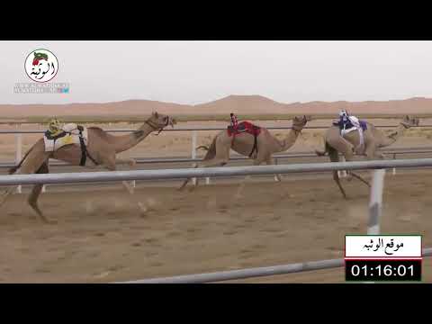 الشوط 13 وله لـ عبدالله محمد بالمر العامري شارة الشيخ محمد بن زايد آل نهيان 2021 7 16 رماح 